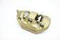 Preview: BMW R1250GS R 1250 GS S 1000 RR Bremssattel Bremszange vorne re