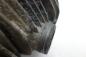 Preview: BMW R80 R 80 Zylinder Zylinderkopf Ventildeckel links