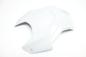 Preview: BMW S1000RR S 1000 RR K67 Airbox Cover #52#