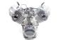 Preview: Moto Guzzi 1000 SP Motor Engine