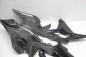 Preview: BMW R1250RS R 1250 RS Ilmberger Carbon Seitenteil Abdeckung re li