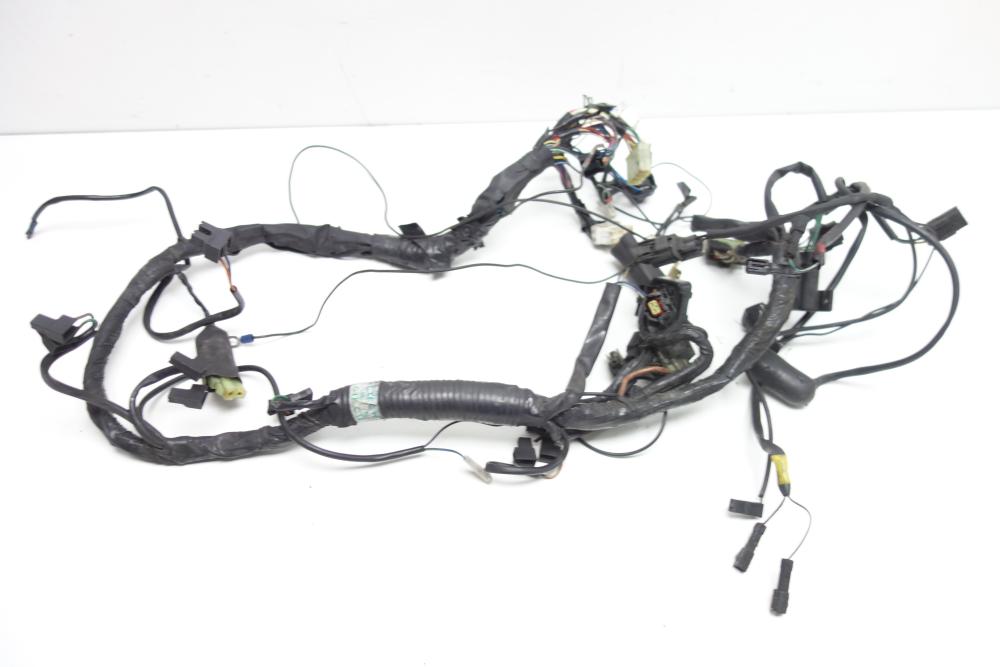 Triumph Thunderbird 900 Kabelbaum