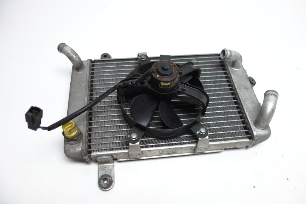 Suzuki Burgman 400 Kühler