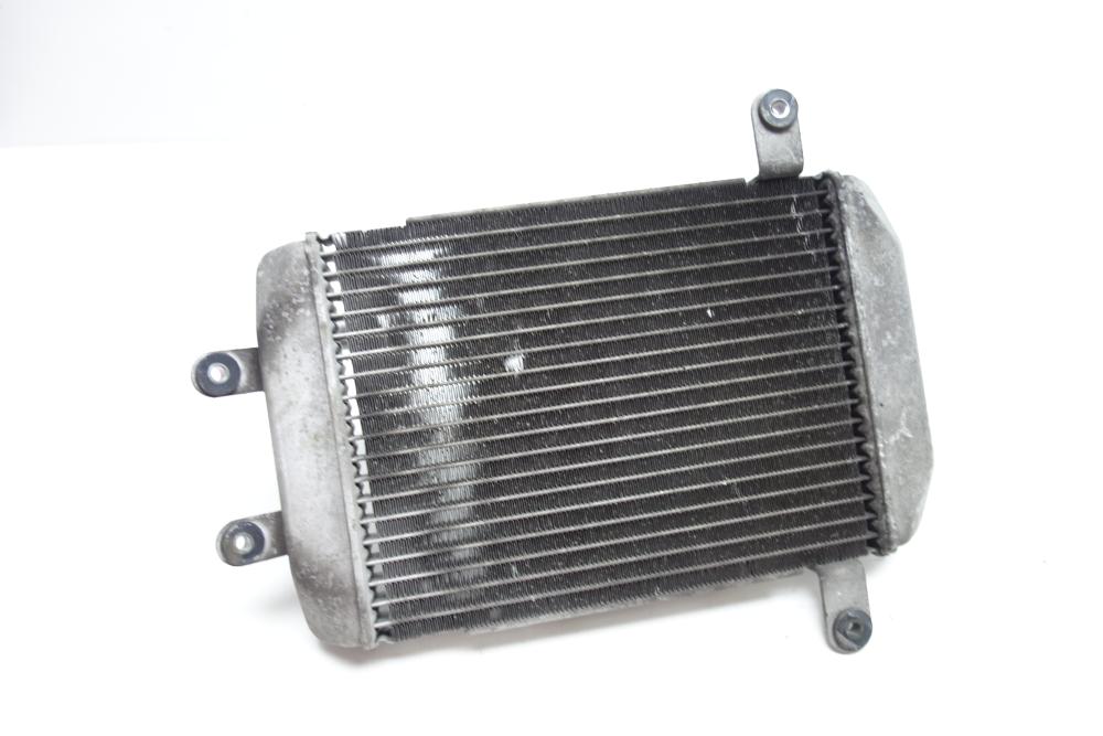 Preview: Suzuki Burgman 400 Kühler