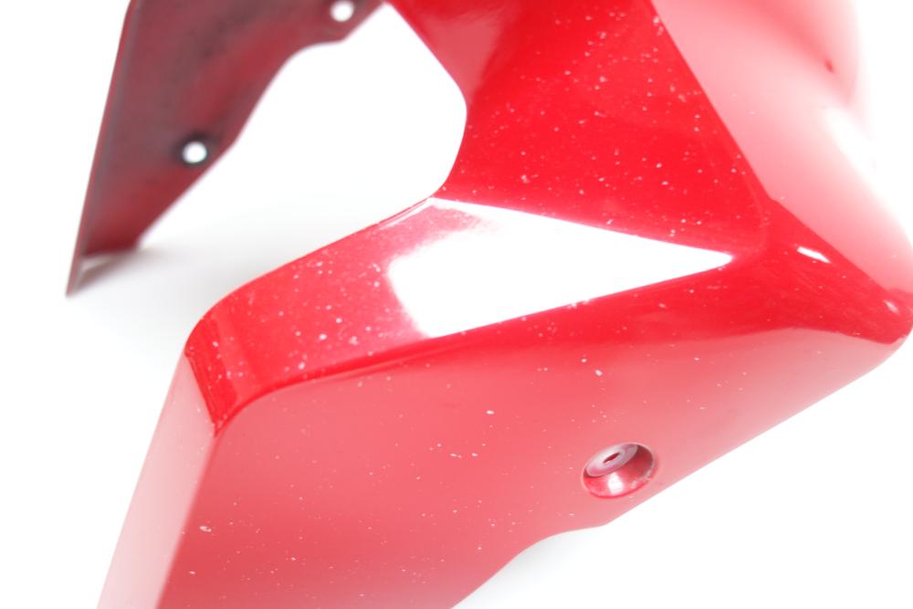 Preview: BMW S1000R S 1000 R Fender Kotflügel vorne