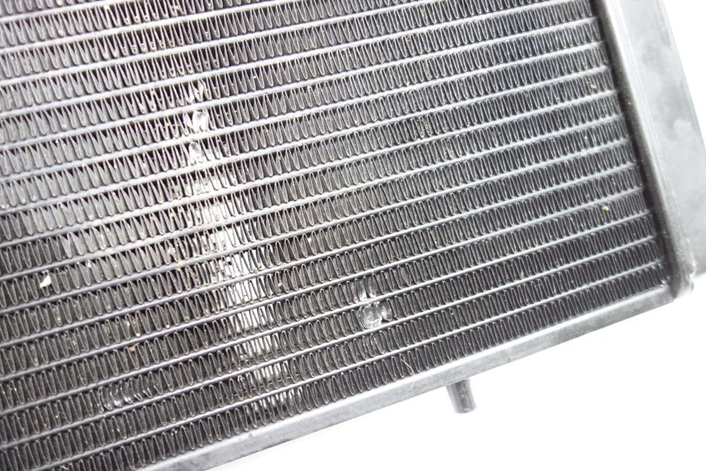 Preview: BMW F650 F 650 Kühler