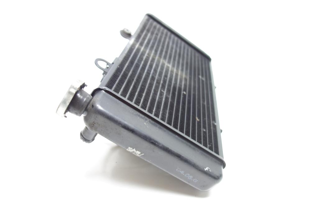 Preview: BMW F650 F 650 Kühler