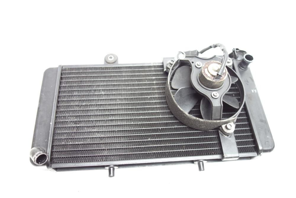 Preview: BMW F650 F 650 Kühler