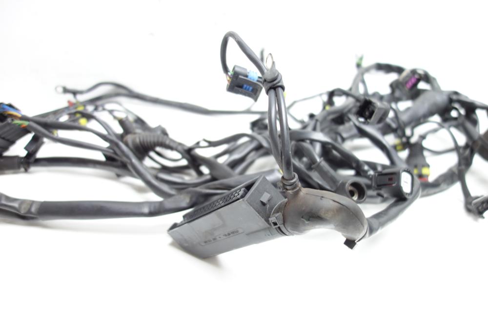 MV Agusta Brutale 750 Kabelbaum