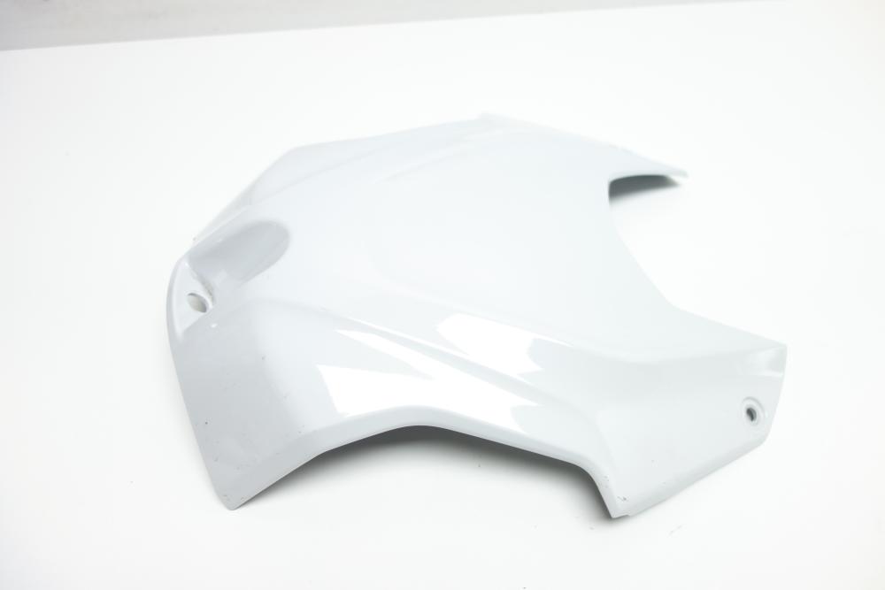 BMW S1000RR S 1000 RR K67 Airbox Cover #52#