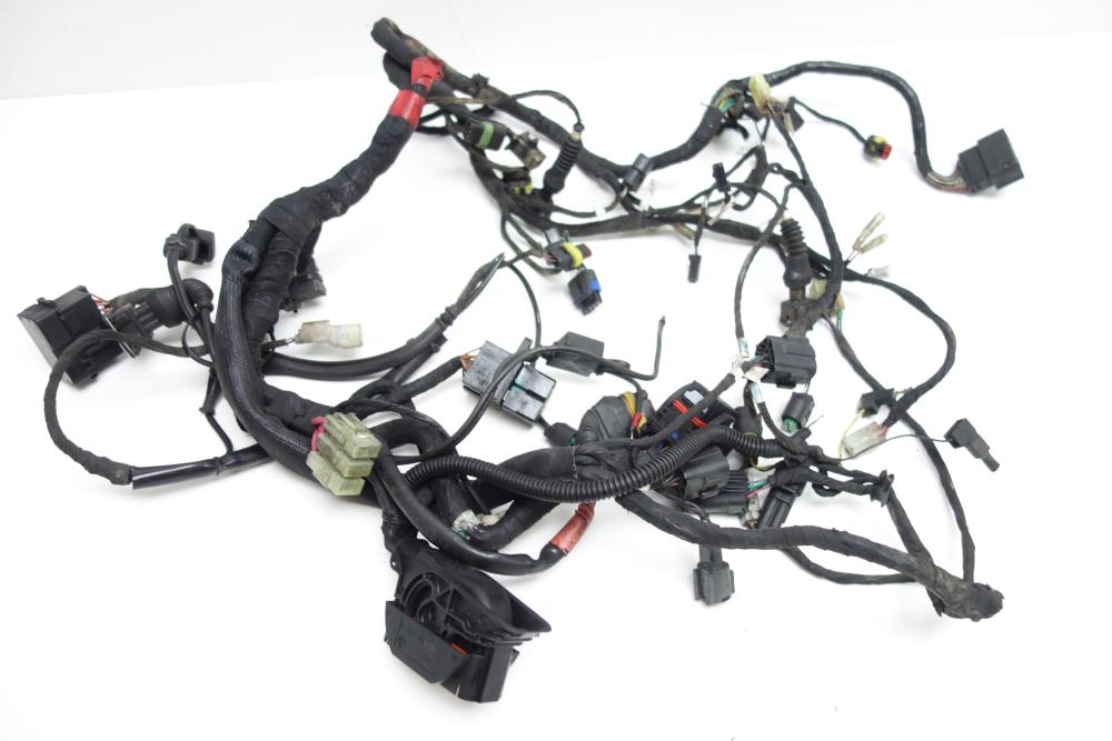 Ducati Monster 1100 Kabelbaum