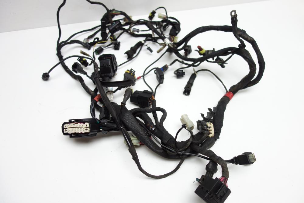 Ducati Monster 1100 Kabelbaum