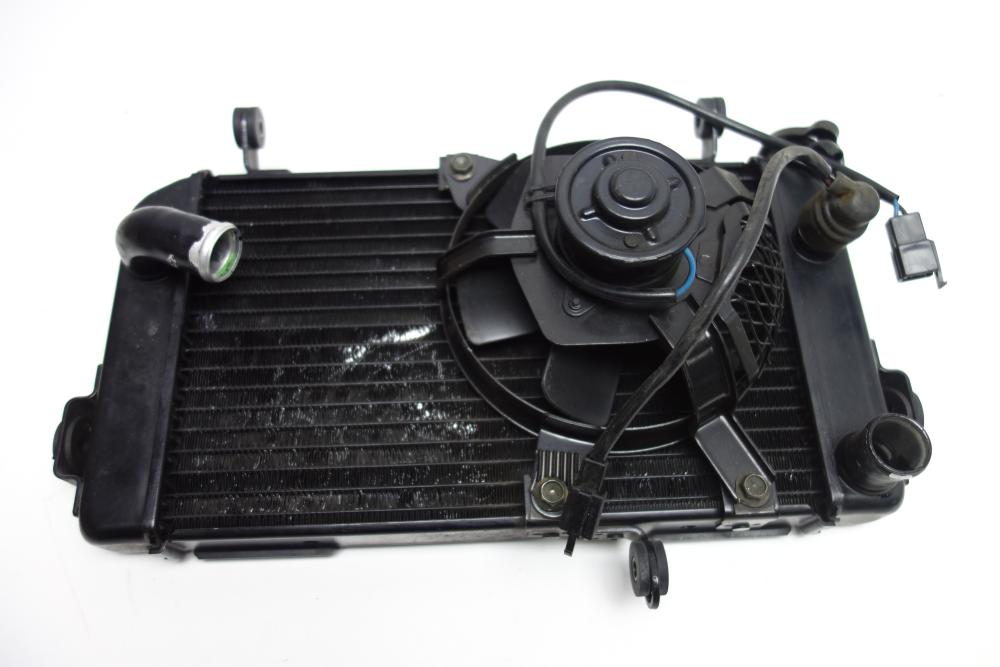 Suzuki SV 650 S Kühler