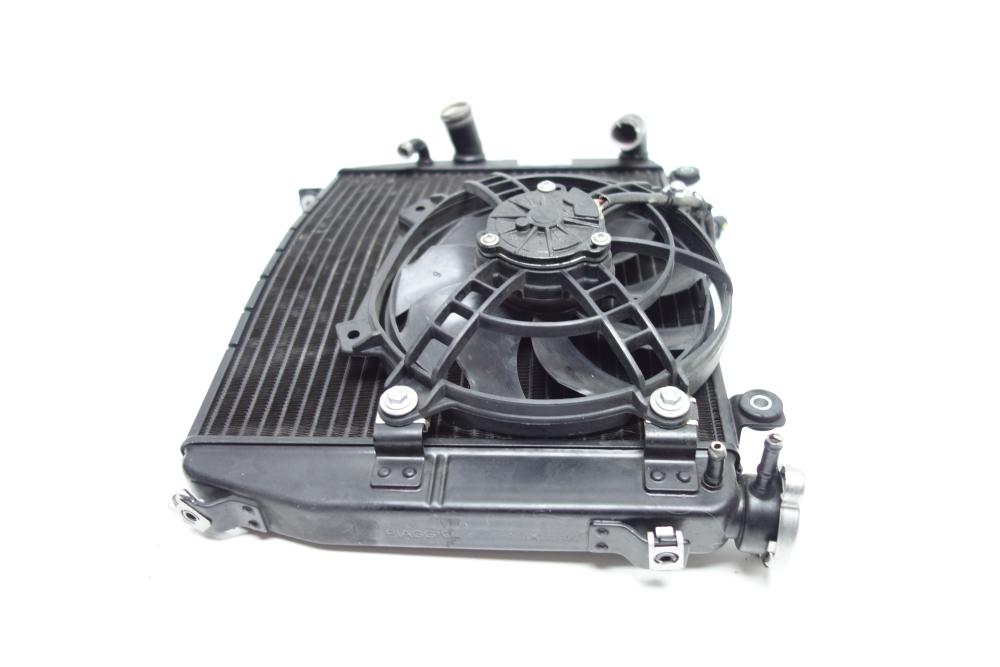 Preview: Aprilia Tuono 660 Kühler