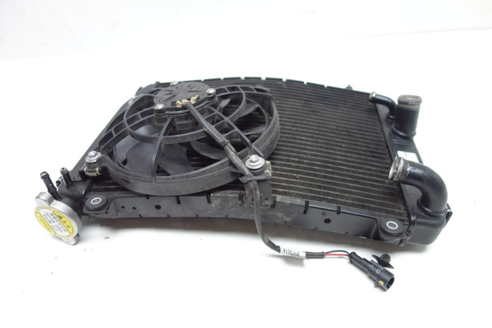 Preview: Aprilia Tuono 660 Kühler