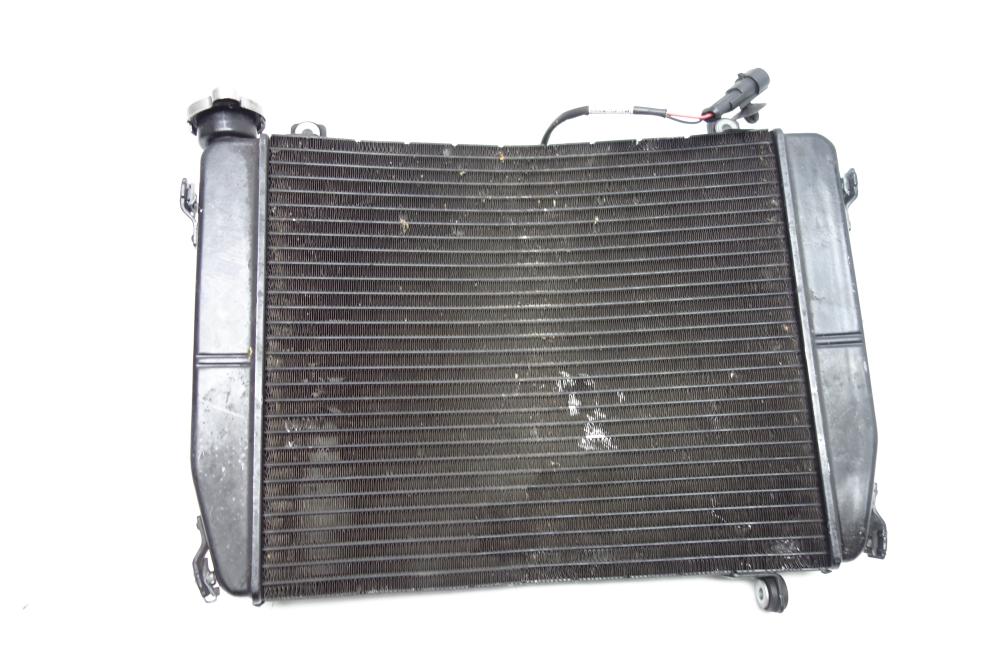 Aprilia Tuono 660 Kühler