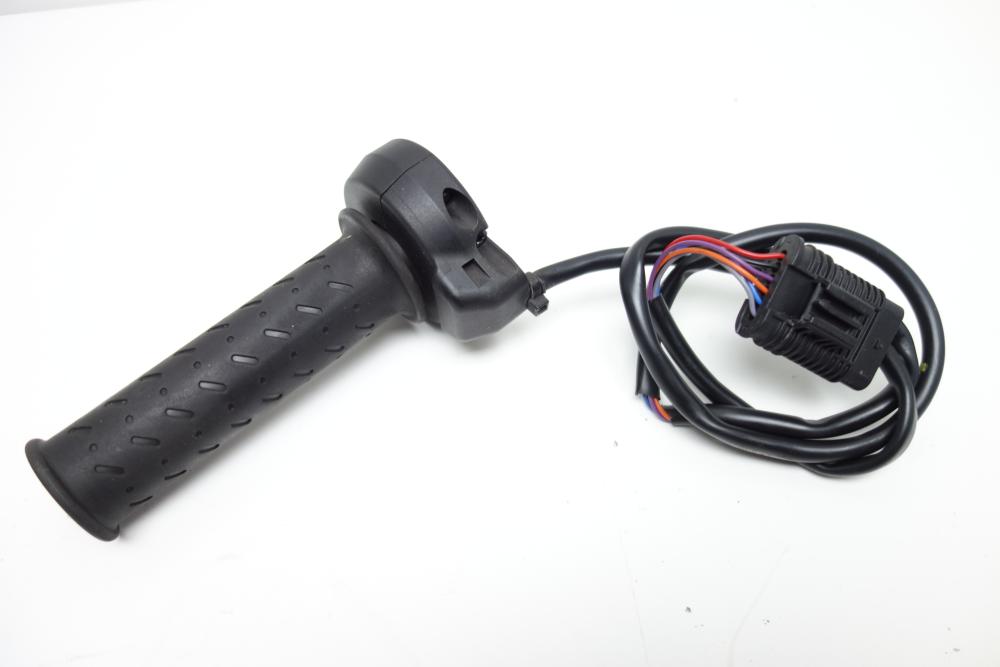 Preview: Aprilia Tuono 660 Gasgriff