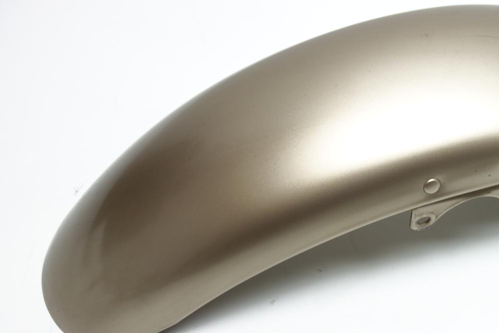 Preview: Triumph Thunderbird 900 Fender Kotflügel vorne