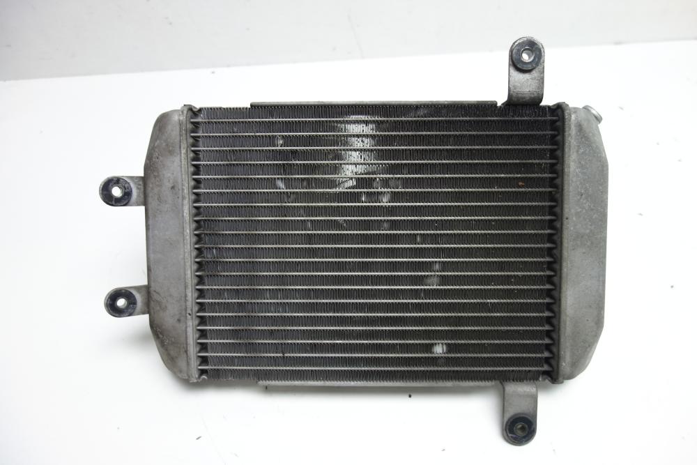 Preview: Suzuki Burgman 400 Kühler