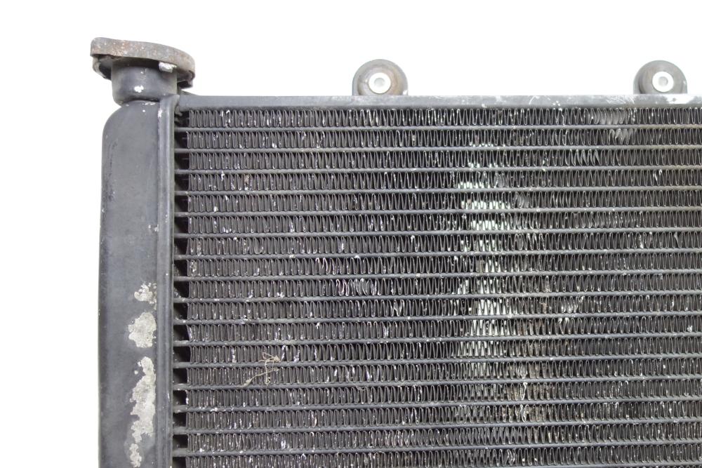 Preview: BMW F650 F 650 Kühler