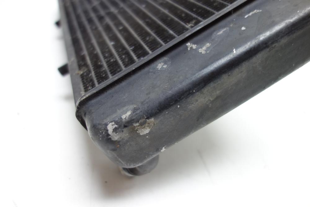 Preview: BMW F650 F 650 Kühler