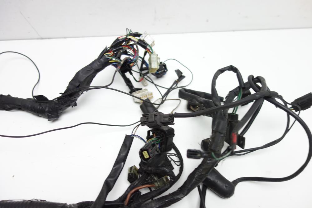 Preview: Triumph Thunderbird 900 Kabelbaum