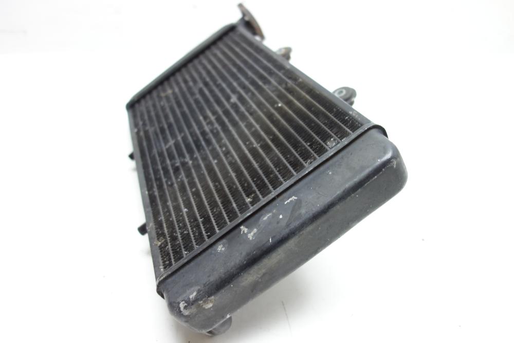 Preview: BMW F650 F 650 Kühler