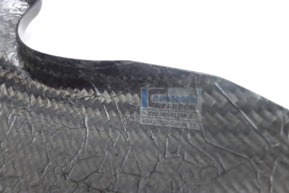 BMW R1250RS R 1250 RS Ilmberger Carbon Fender Kotflügel vorne