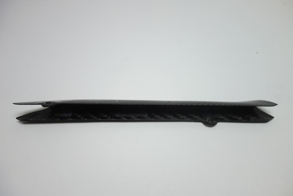 BMW R1250RS R 1250 RS Ilmberger Carbon Bremsleitungsabdeckung