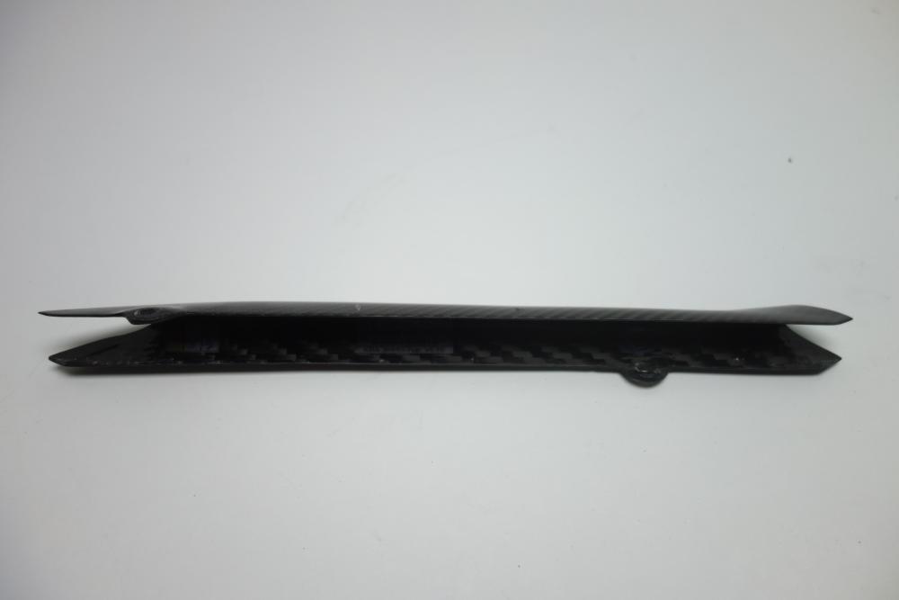 BMW R1250RS R 1250 RS Ilmberger Carbon Bremsleitungsabdeckung