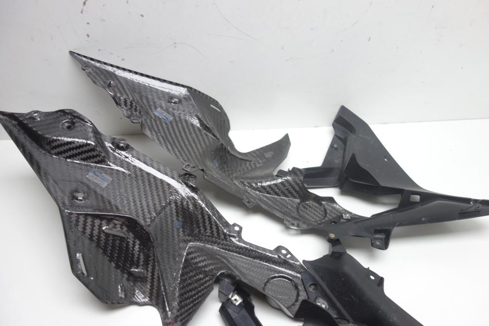 BMW R1250RS R 1250 RS Ilmberger Carbon Seitenteil Abdeckung re li