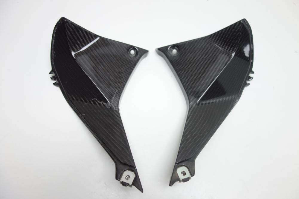 BMW R1250RS R 1250 RS Ilmberger Carbon Cockpitverkleidung re li