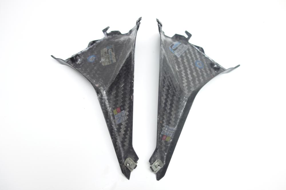 BMW R1250RS R 1250 RS Ilmberger Carbon Cockpitverkleidung re li