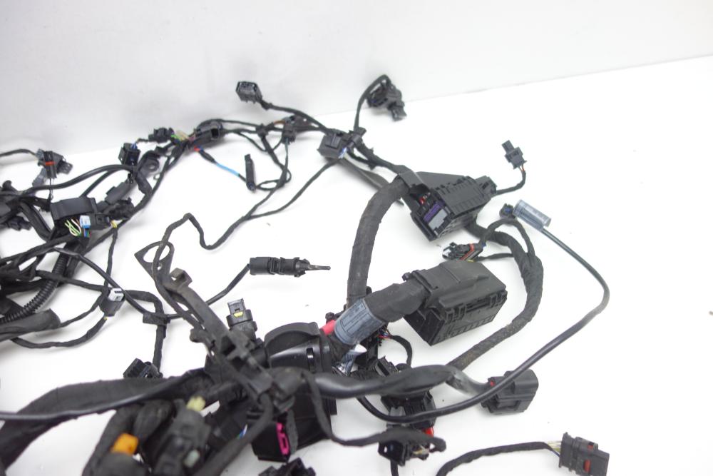 Preview: BMW R1250RS R 1250 RS Kabelbaum