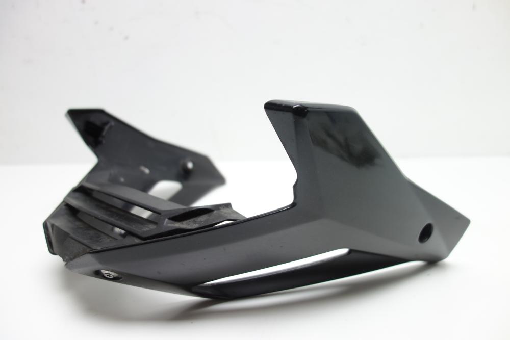 Preview: BMW S1000R S 1000 R Bug Bugverkleidung