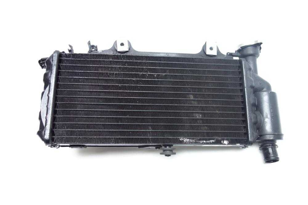 BMW F650CS F 650 CS Scarver Kühler