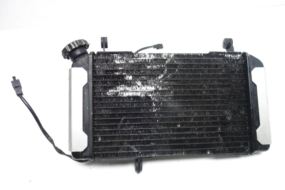 Suzuki SV 650 N Kühler