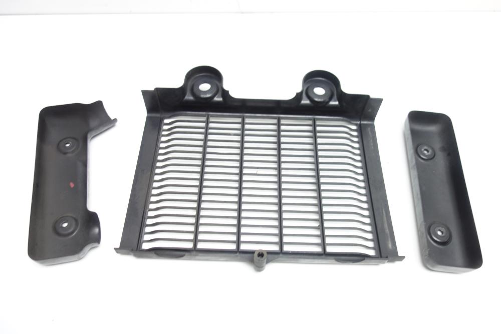 Preview: Triumph Thunderbird 900 Kühlerblende Kühlergitter