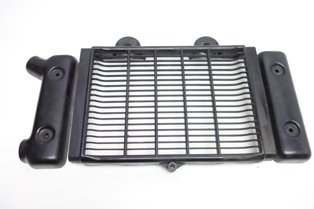 Triumph Thunderbird 900 Kühlerblende Kühlergitter