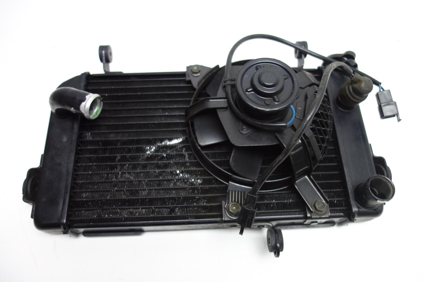 Suzuki SV 650 S Kühler