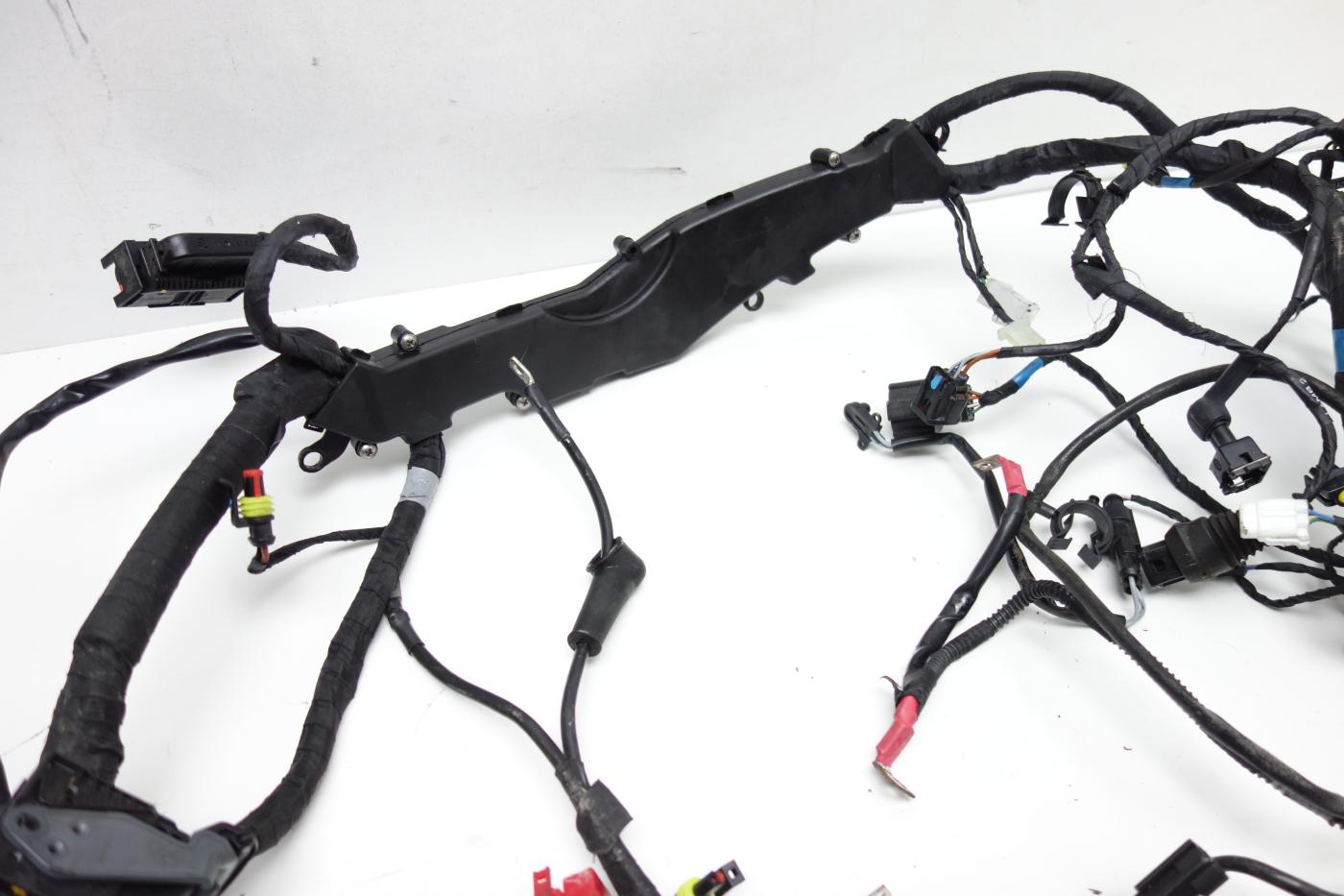 Aprilia Tuono 660 Kabelbaum