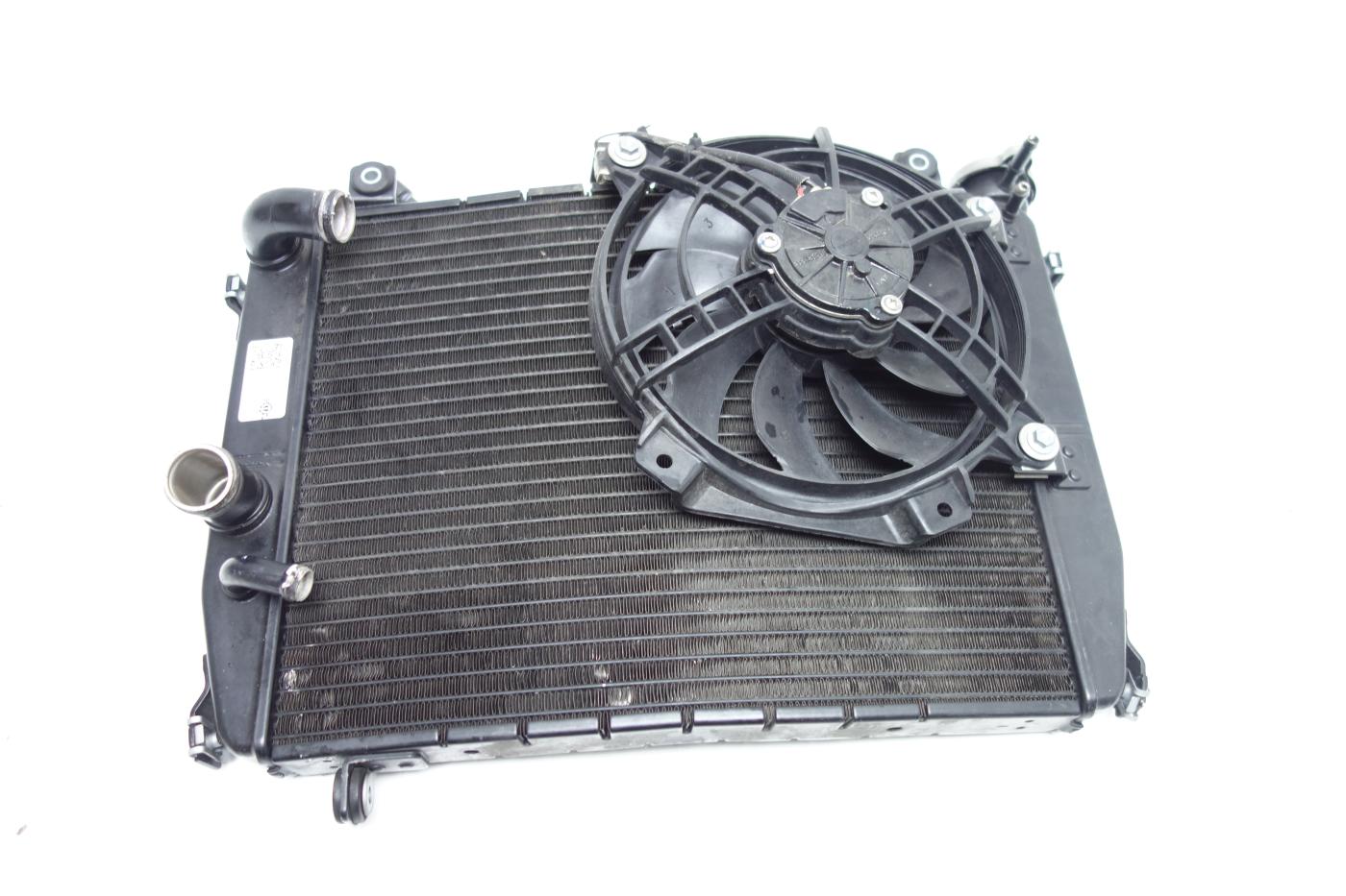 Aprilia Tuono 660 Kühler