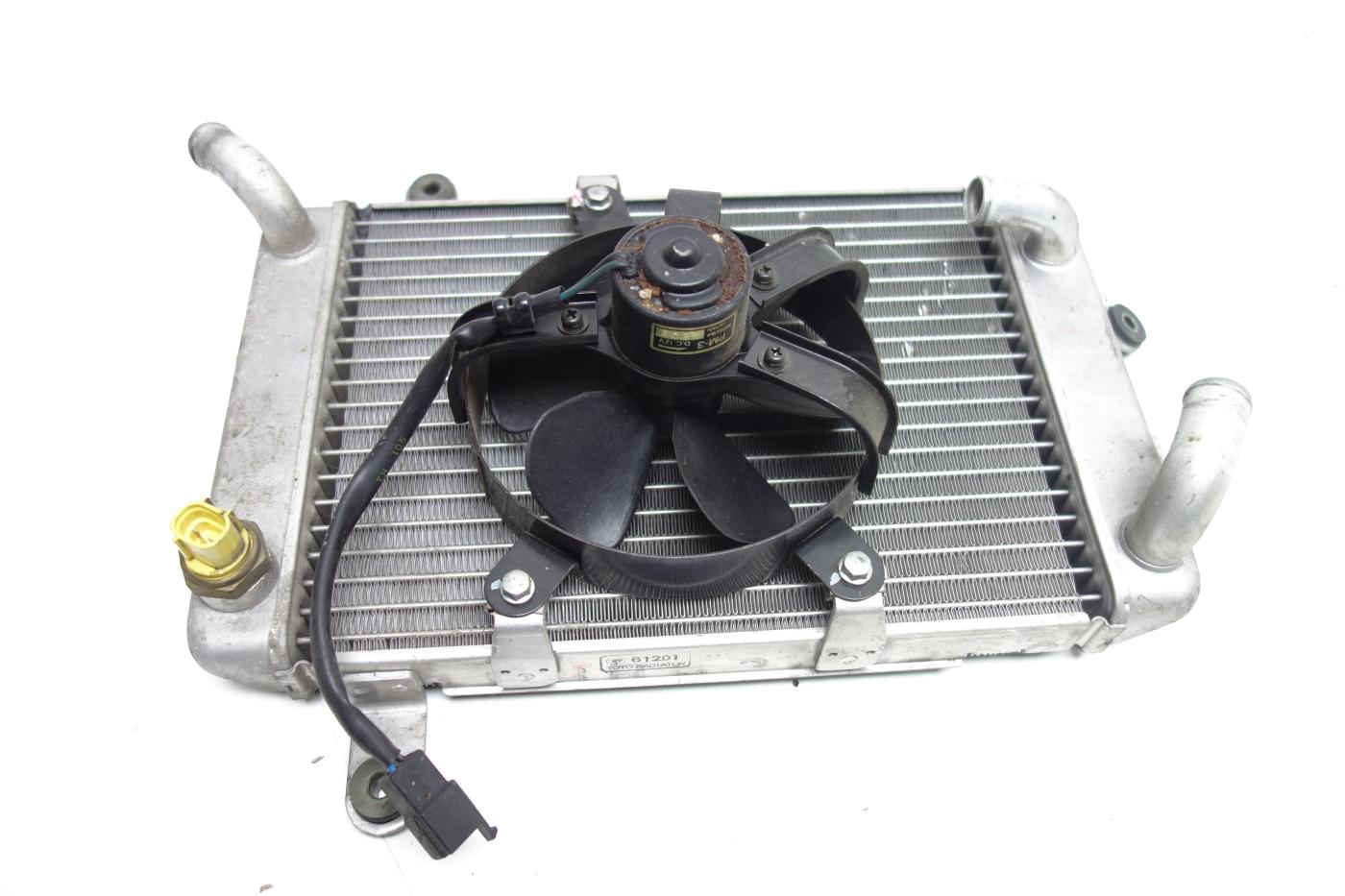 Suzuki Burgman 400 Kühler