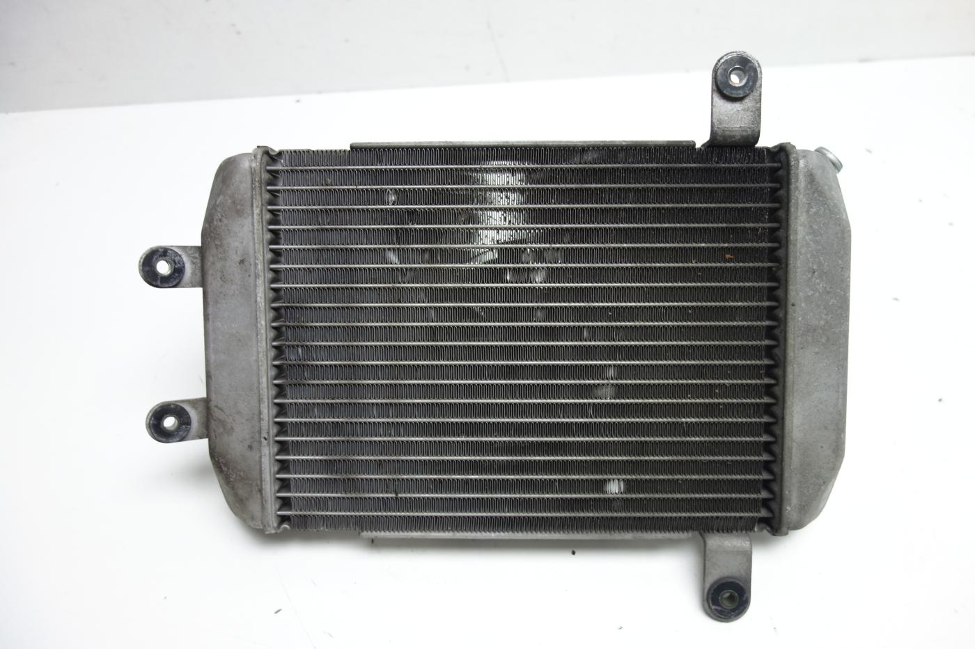 Suzuki Burgman 400 Kühler