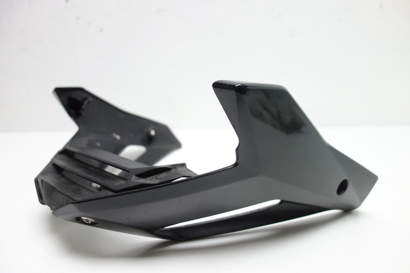 BMW S1000R S 1000 R Bug Bugverkleidung