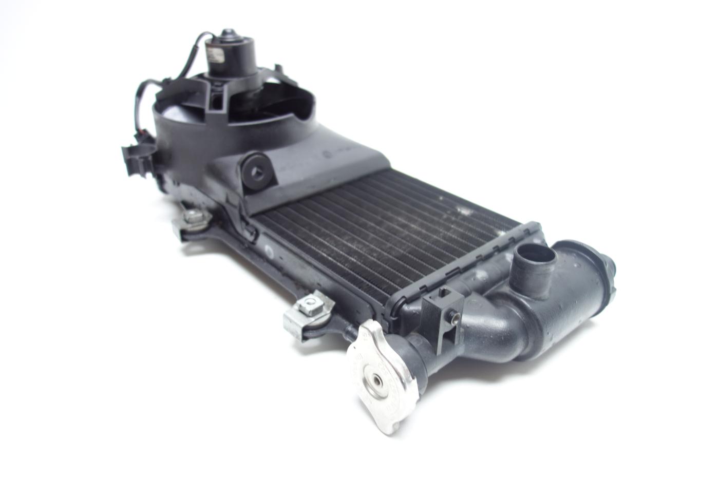 BMW F650CS F 650 CS Scarver Kühler