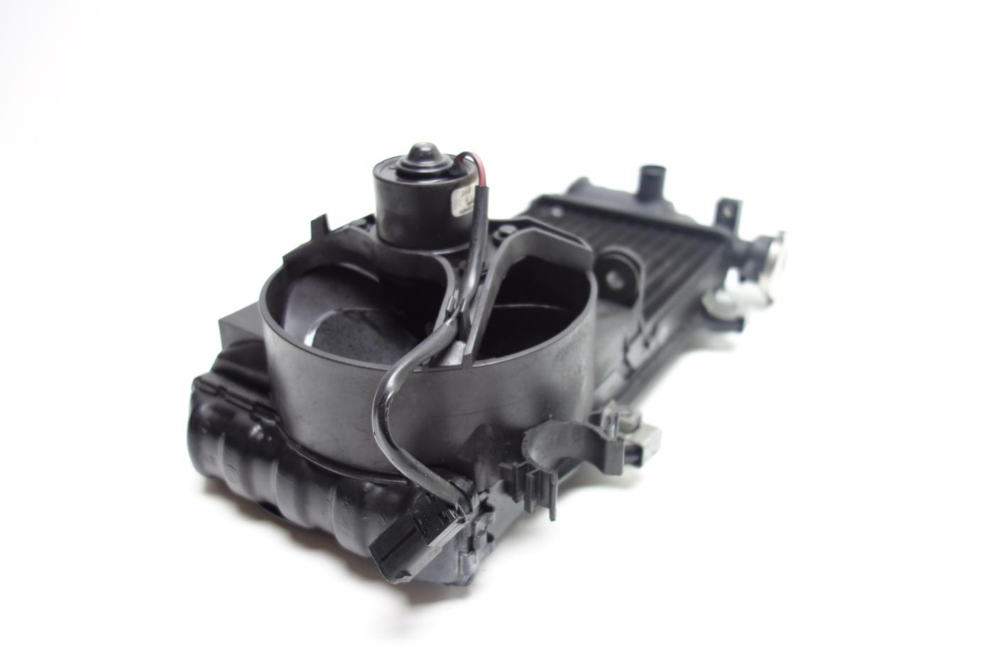 BMW F650CS F 650 CS Scarver Kühler