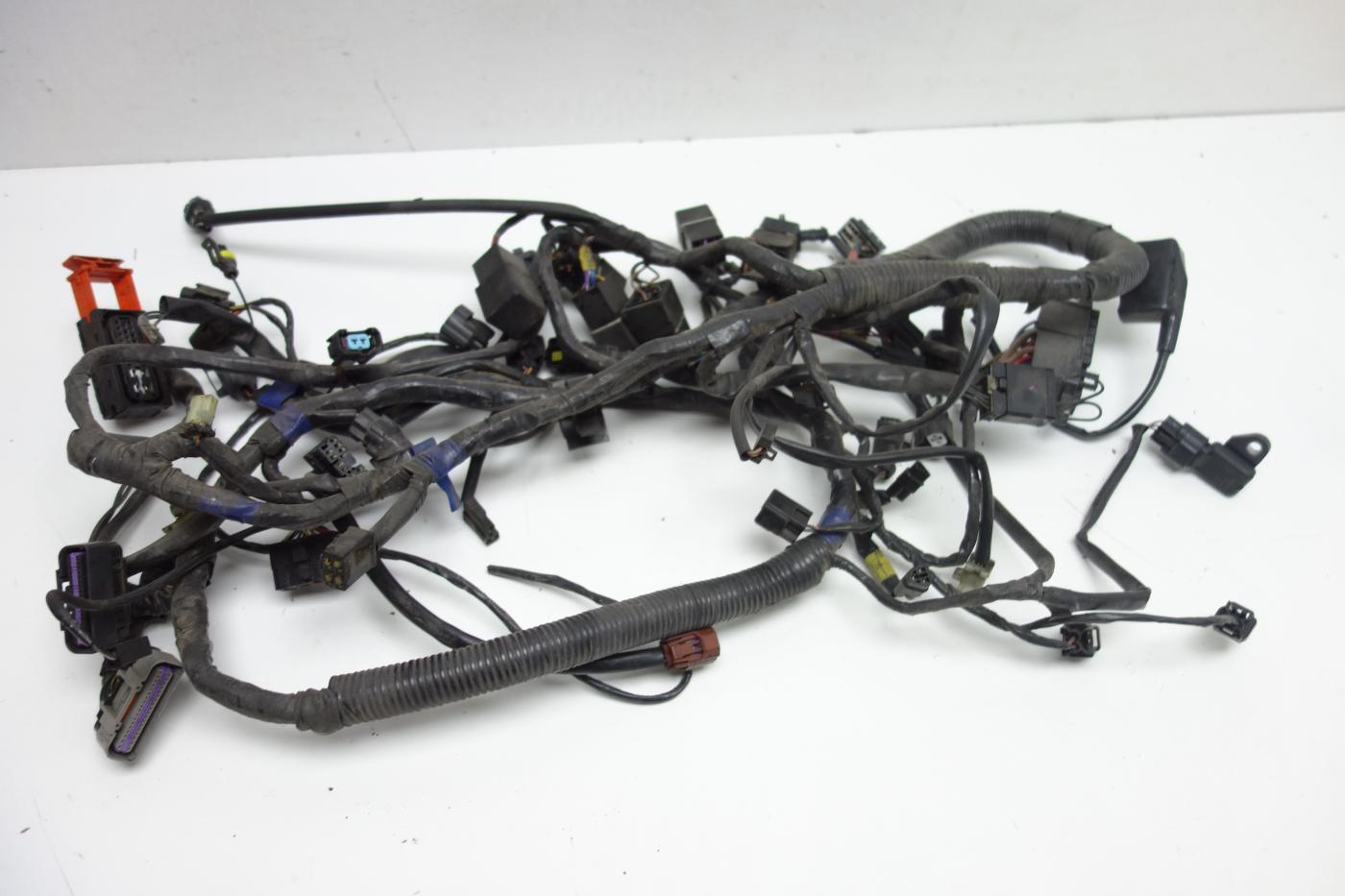 Triumph Sprint ST 1050 Kabelbaum