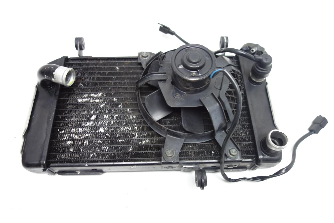 Suzuki SV 650 N Kühler