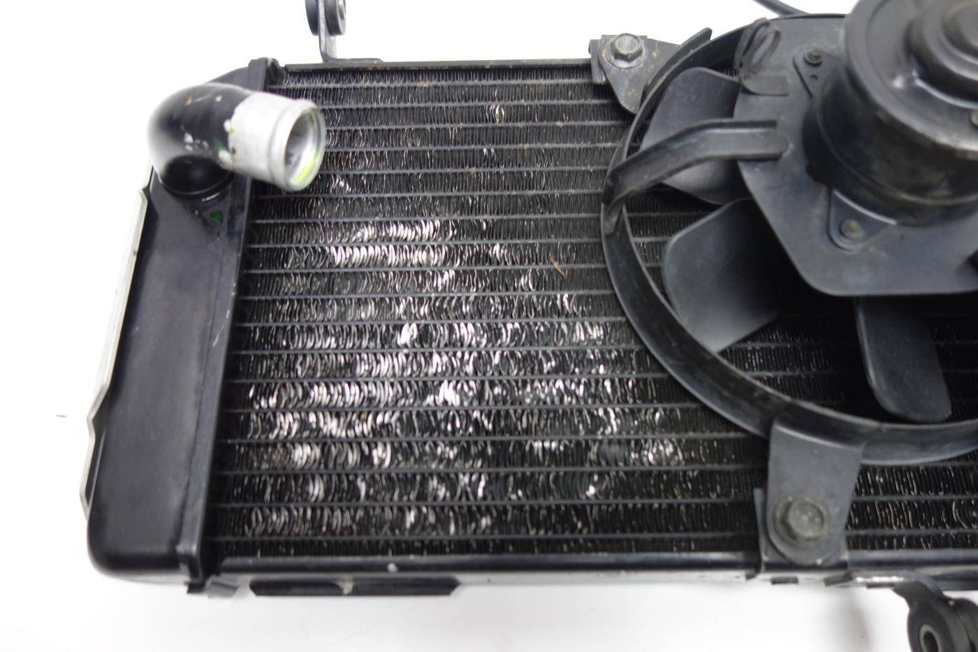 Suzuki SV 650 N Kühler